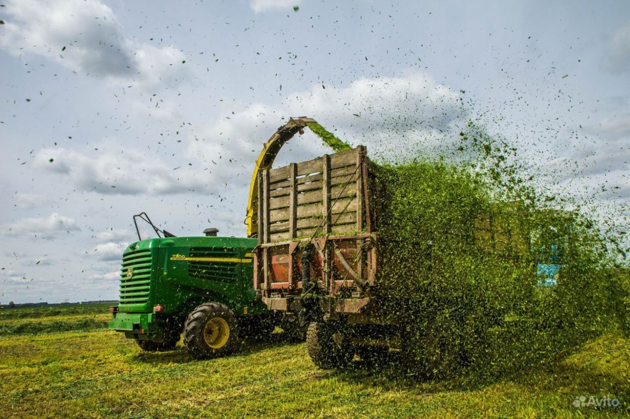 Силосный комбайн уборка кукурузы Джон Дир