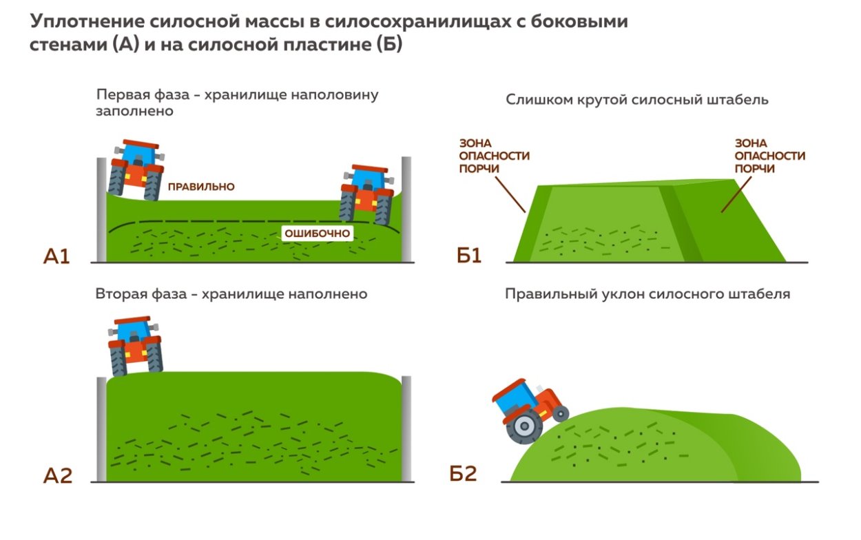 Сухое сено