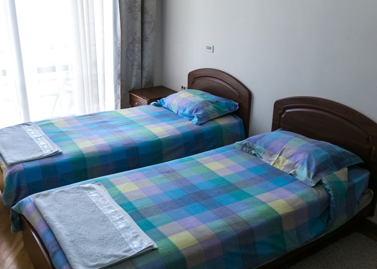 Березы в росе