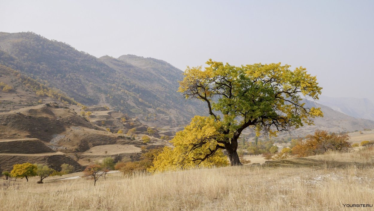 Пансионат Радде Дагестан