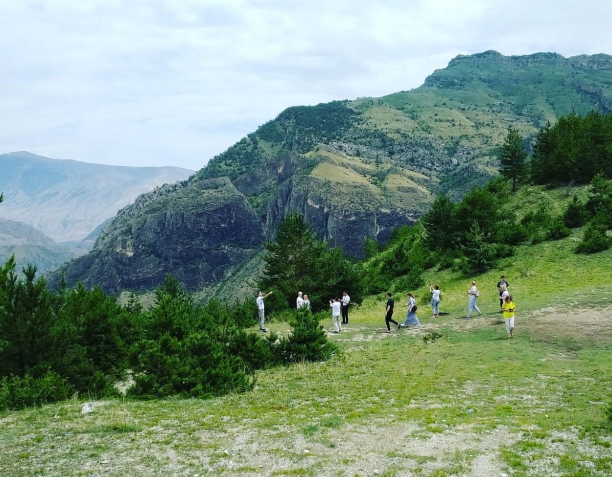 Лес Чеченской Республики