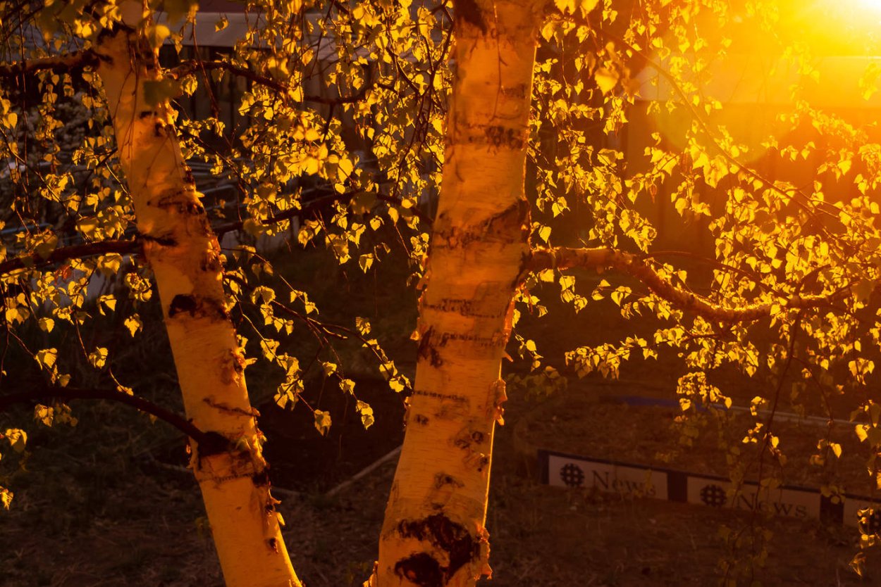 Закат солнца природа