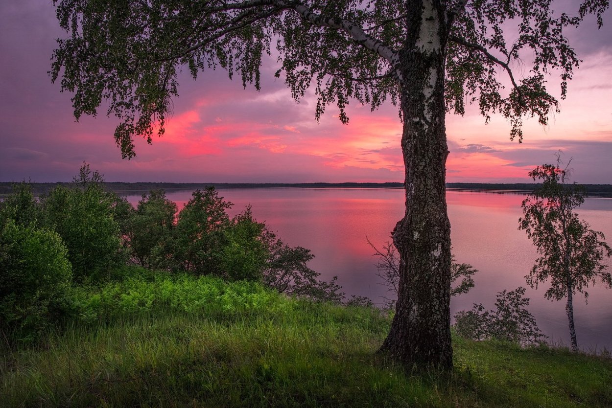 Пейзаж Заря