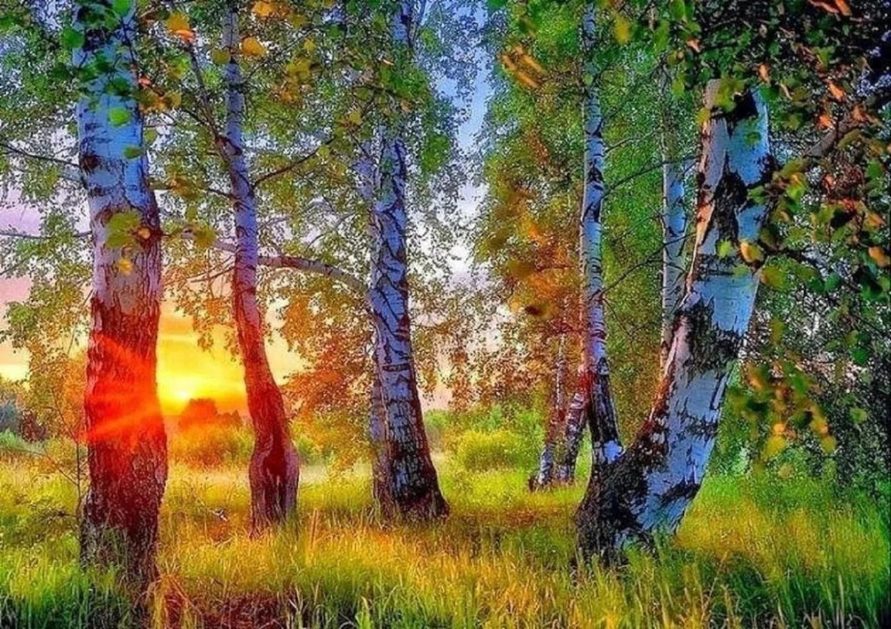 Елена Рубинская Кострома фотографии