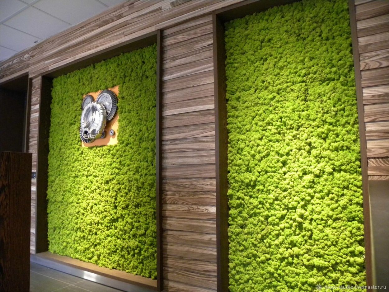 Moss Green / мох стабилизированный