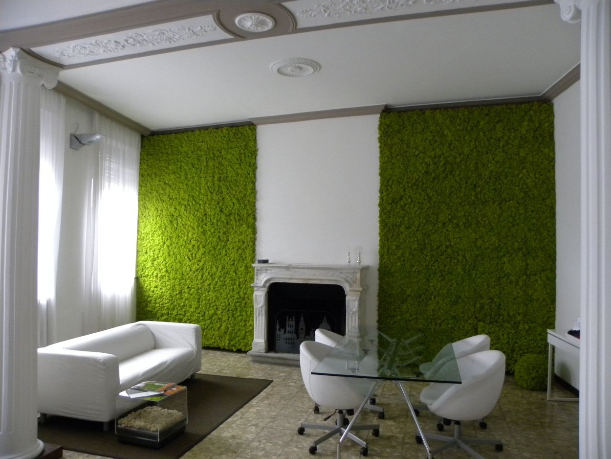 Moss Green / мох стабилизированный