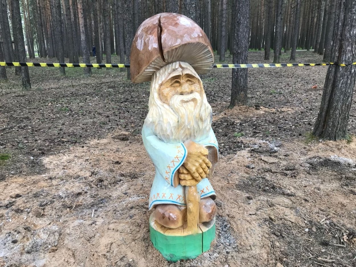 Боровика ягода