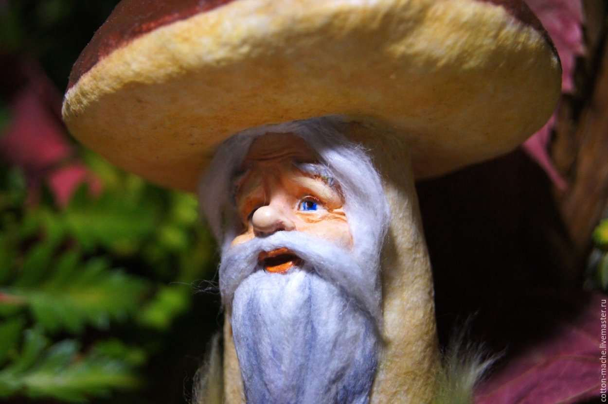 Гриб старичок Боровичок