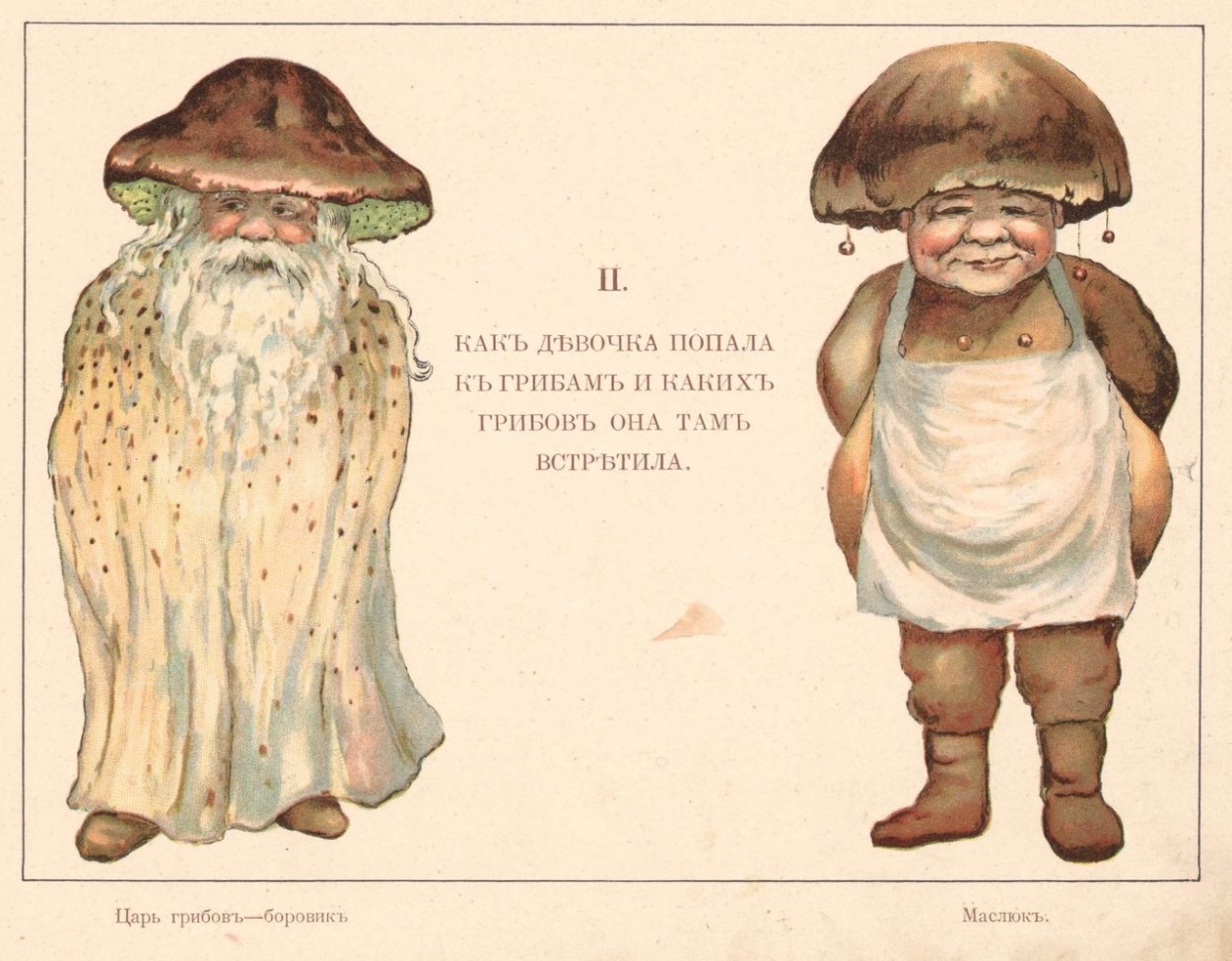 Машрум ВАРС грибы