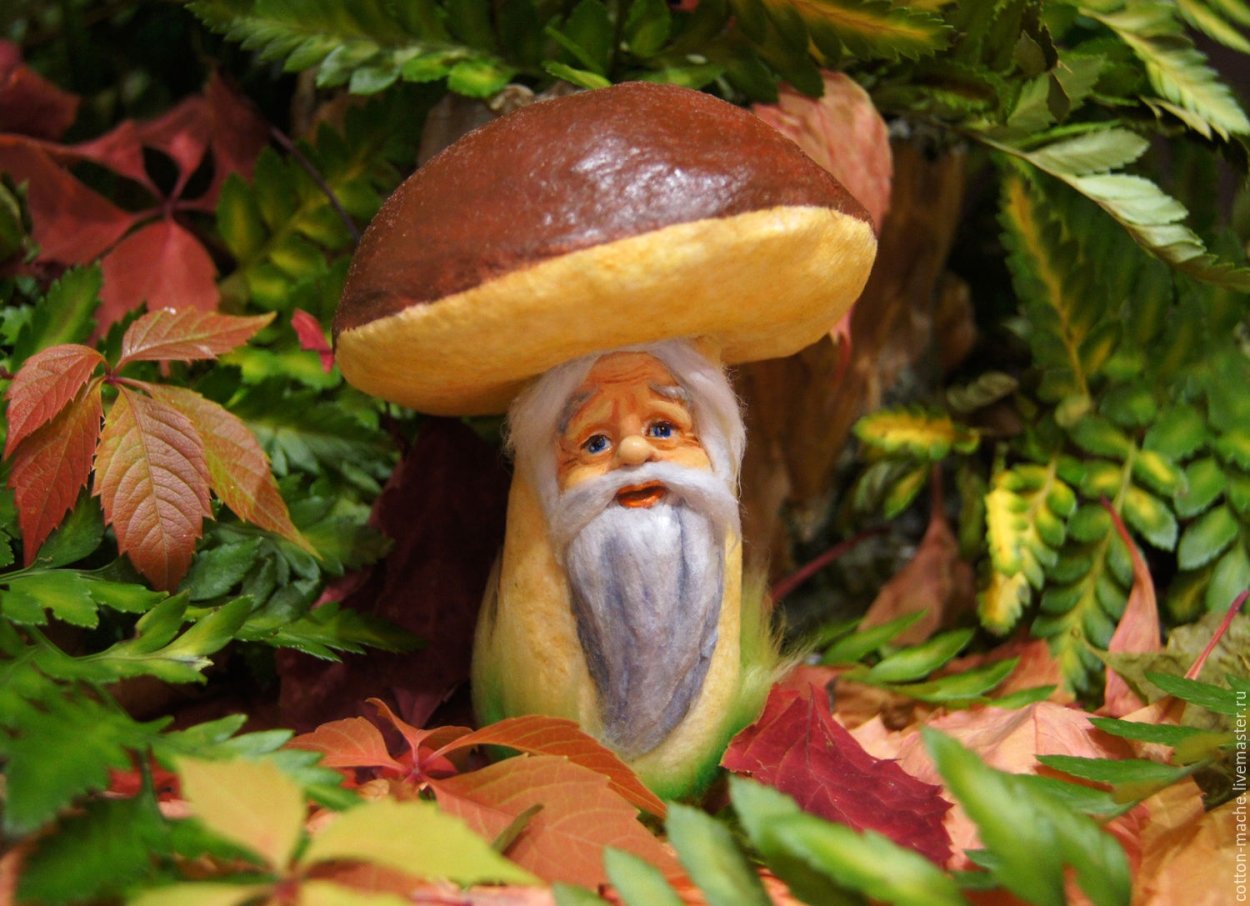 Сказочный гриб Боровик