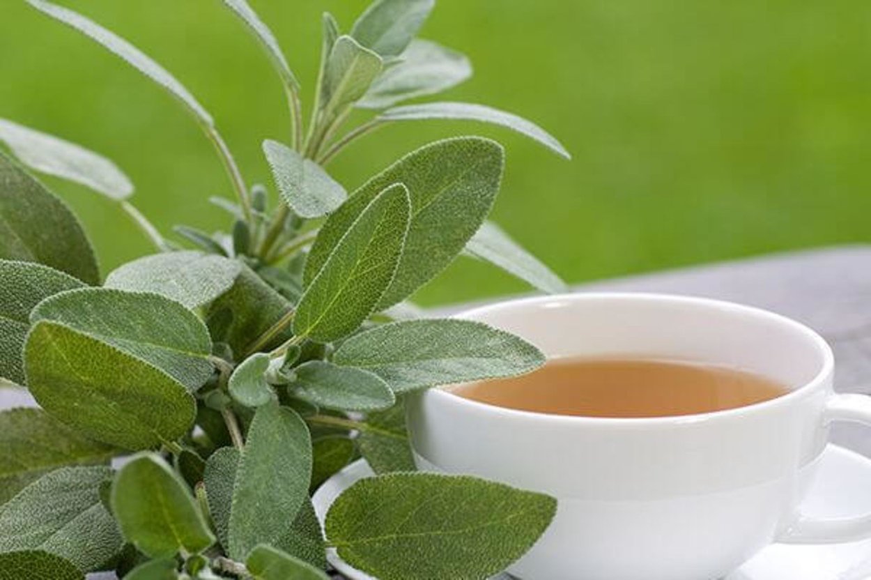 Sage Tea