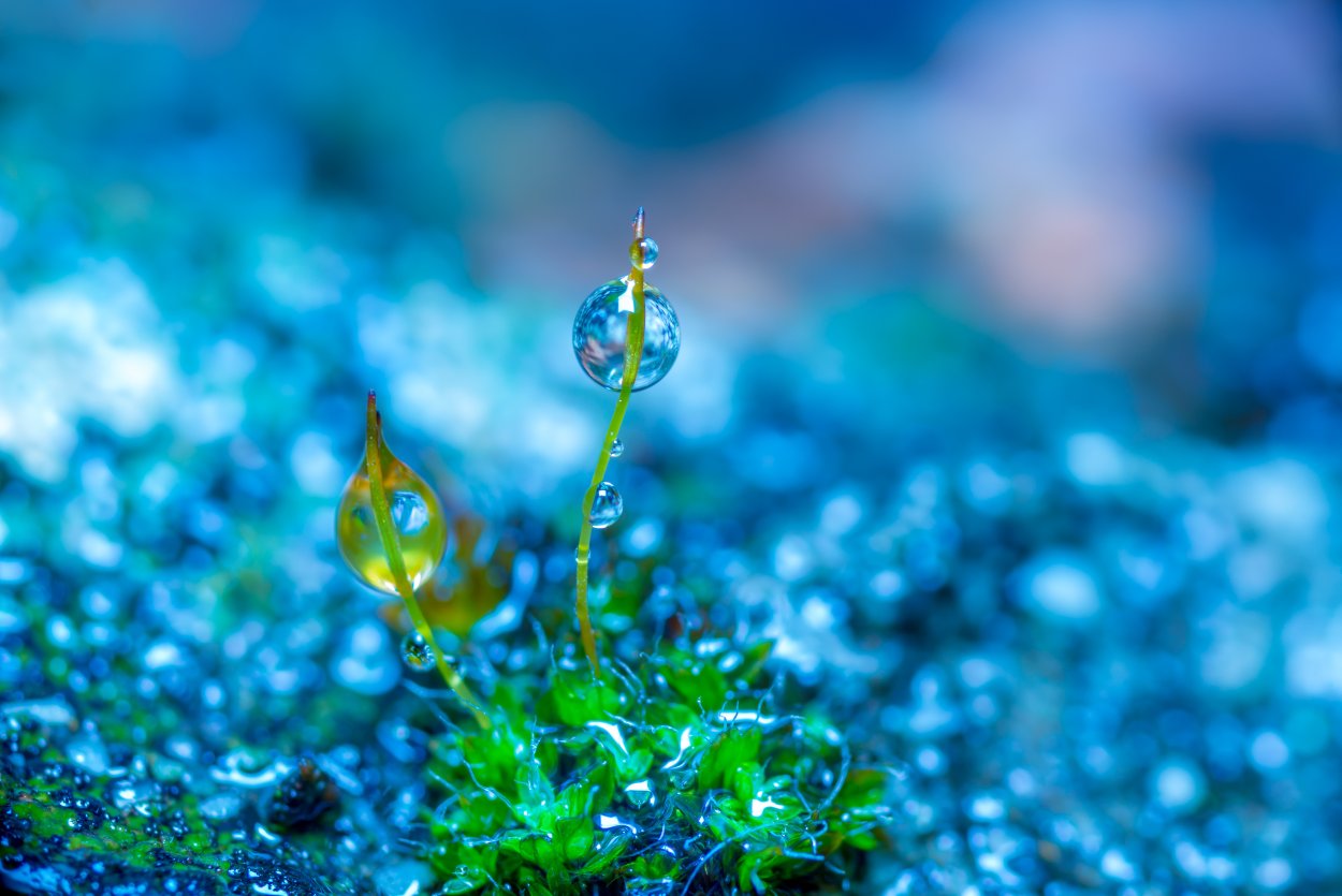 Капли воды