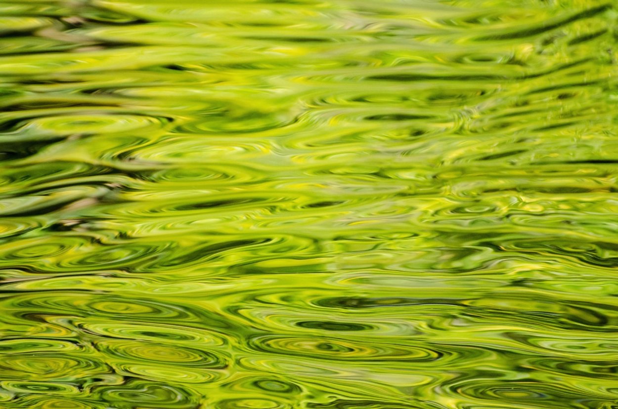 Algae Green цвет