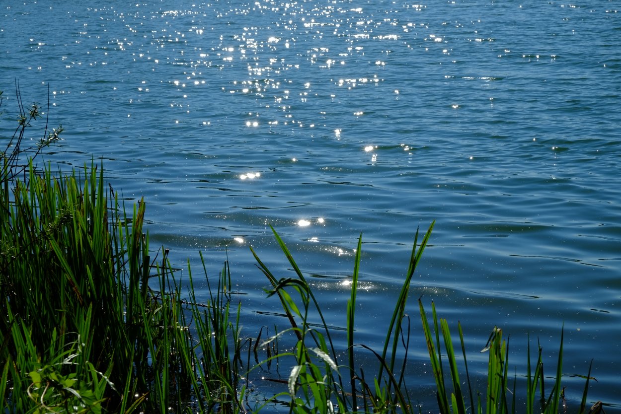 Вода река