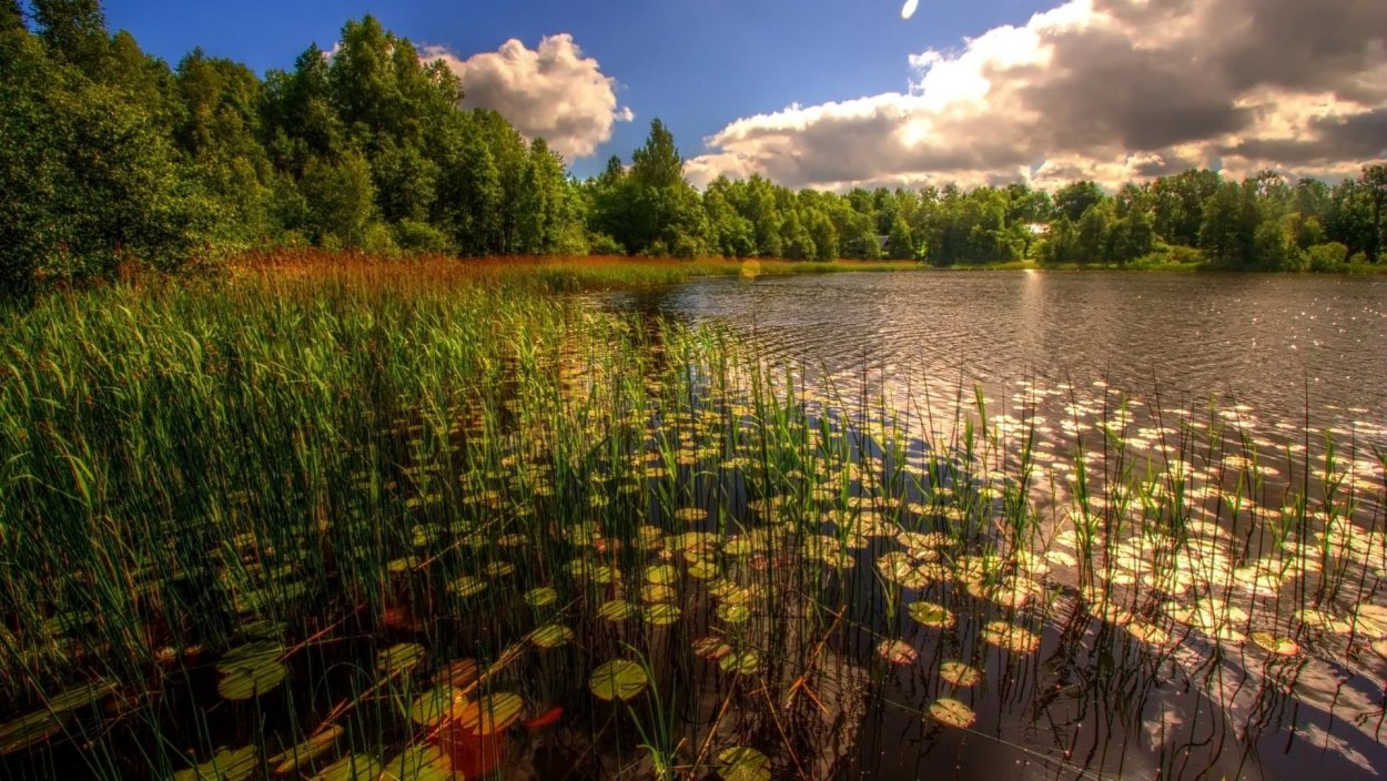 Коларовские водно-болотные угодья