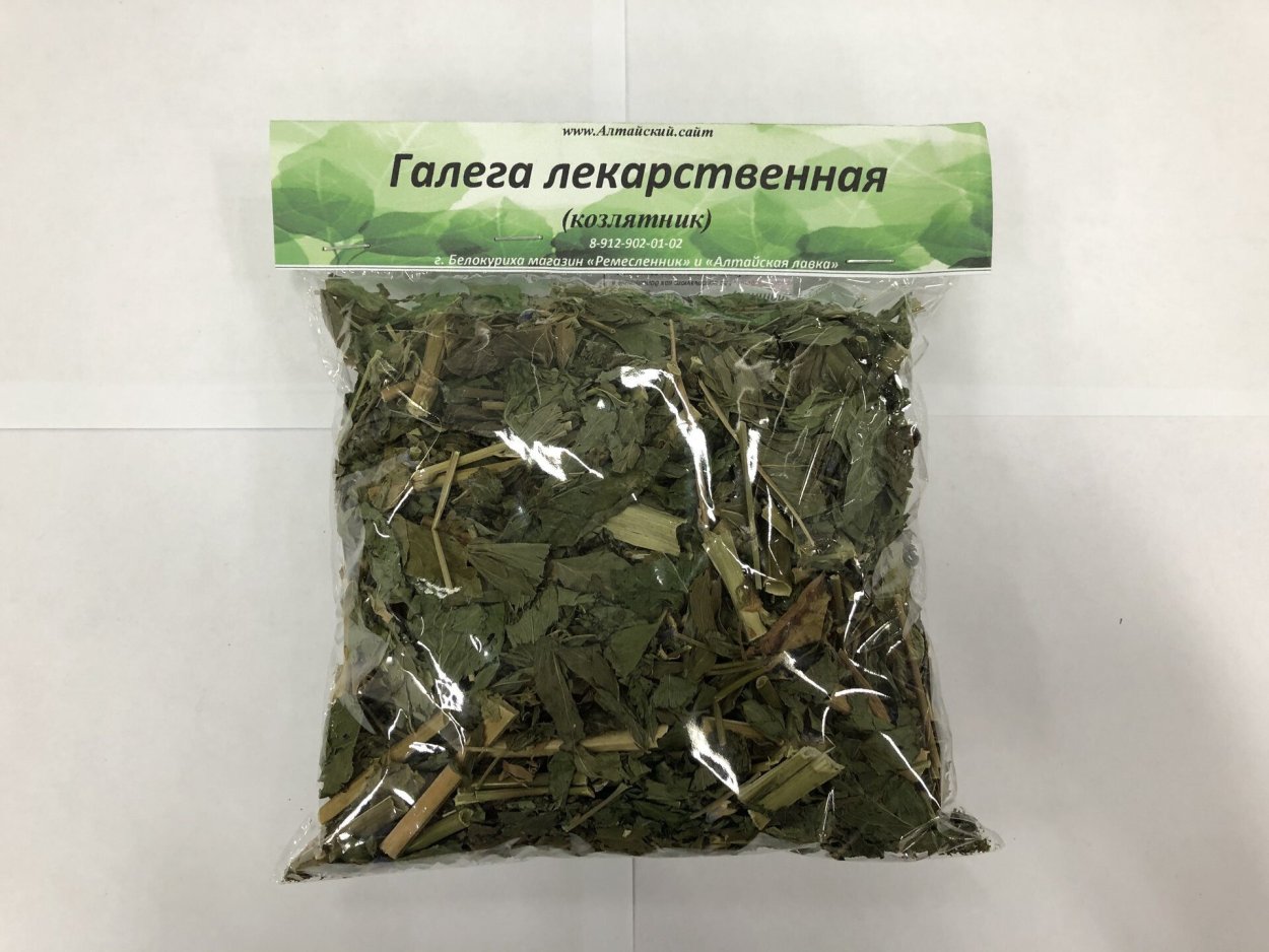 Зизифора тимьянниковая