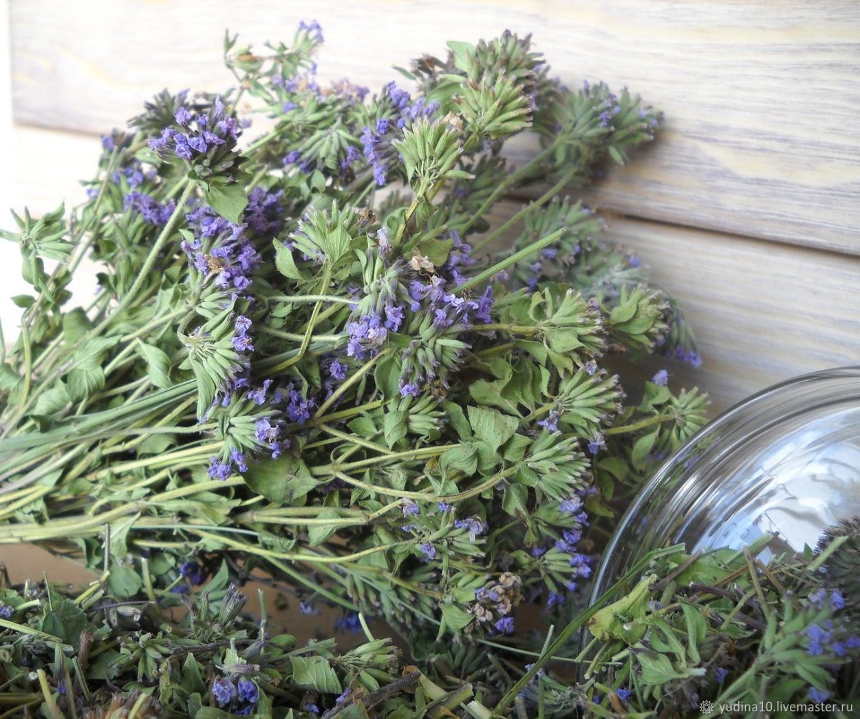 Чабрец и зизифора