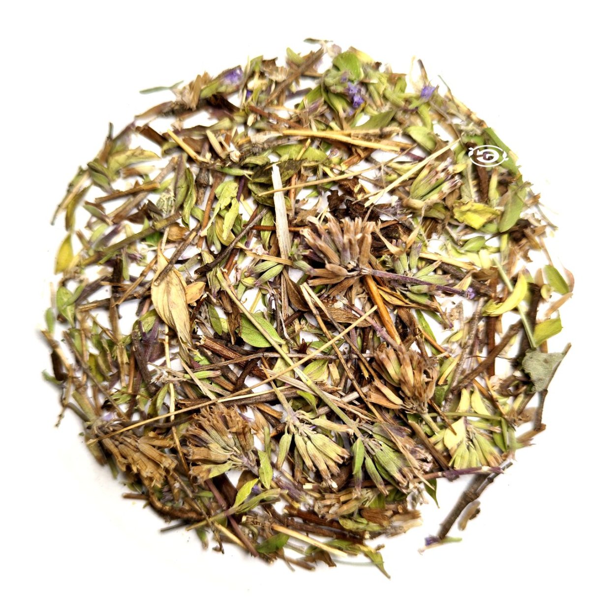 Тимьян обыкновенный фармакопея