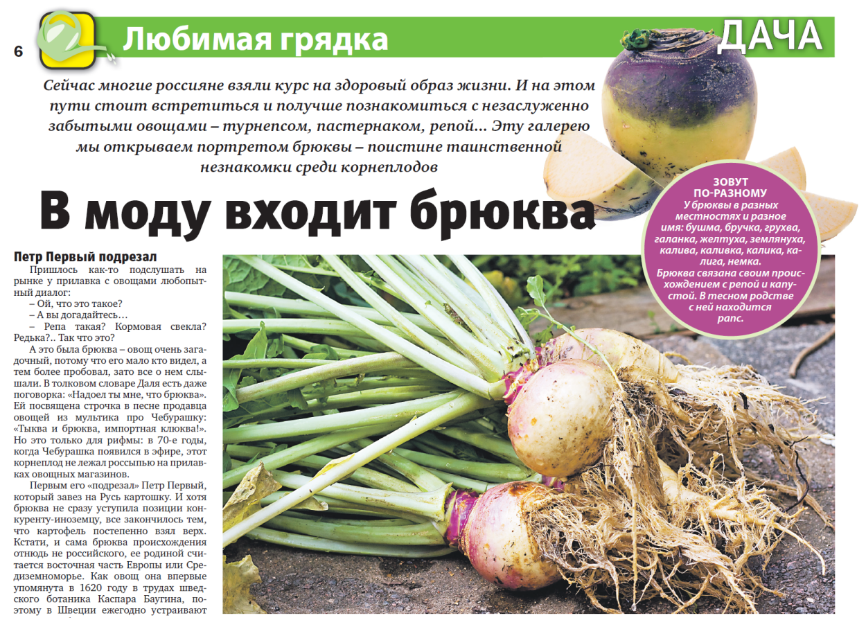 Прокисшая брюква