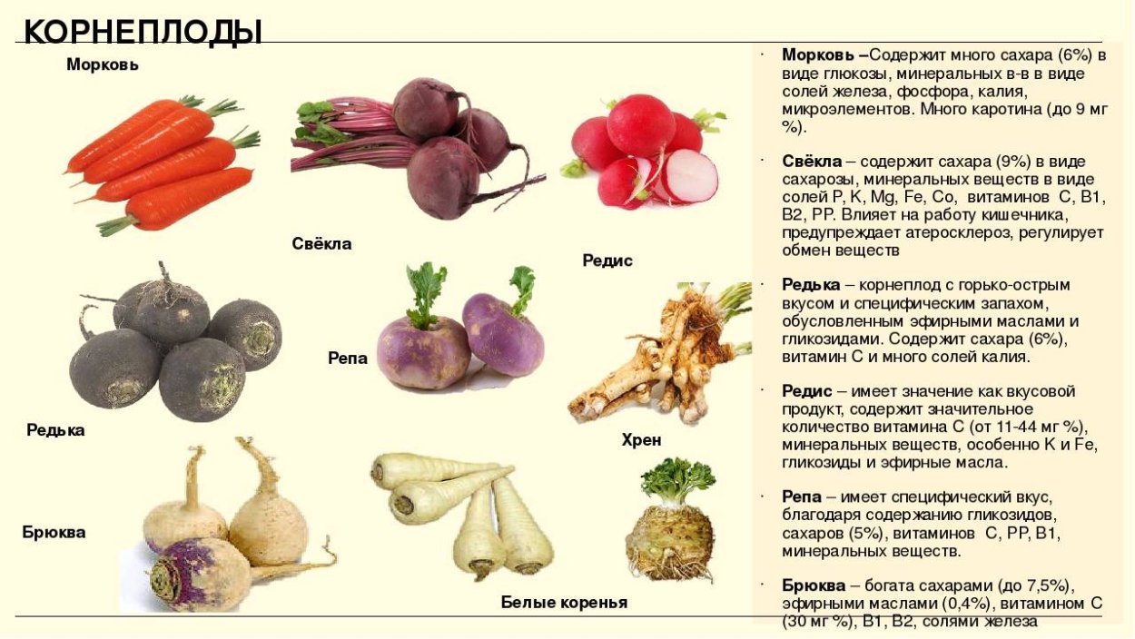 Всходы брюквы