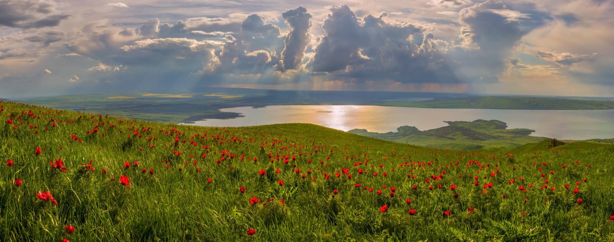 Ставропольская степь