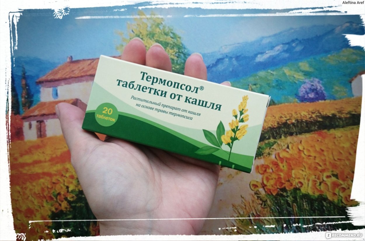 Зеленая трава луг