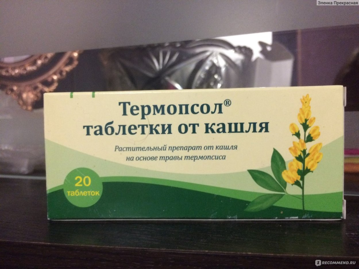 Трава термопсиса ланцетного препараты