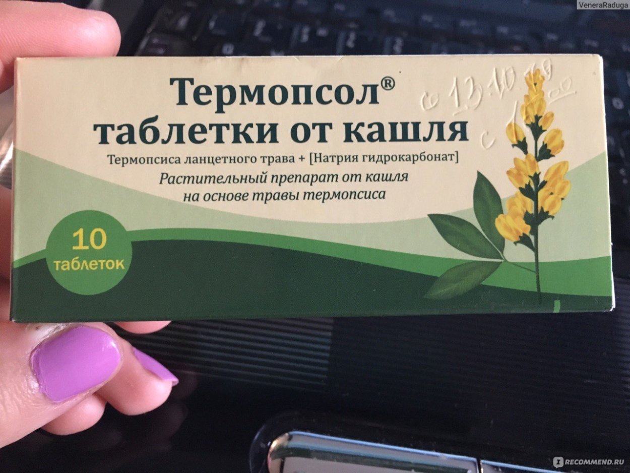 Трава термопсиса ланцетного препараты