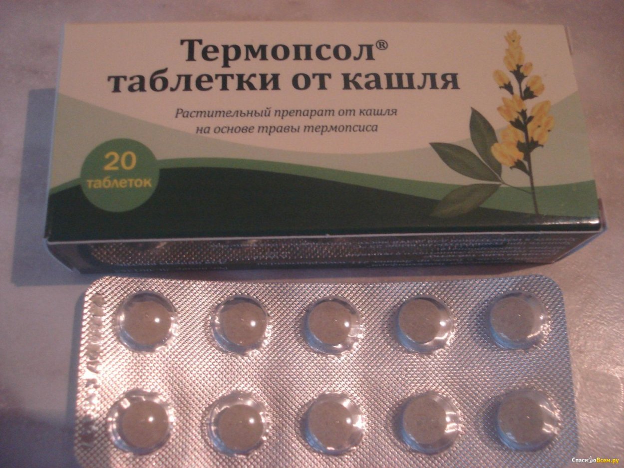От кашля трава термопсиса термопсиса ланцетного