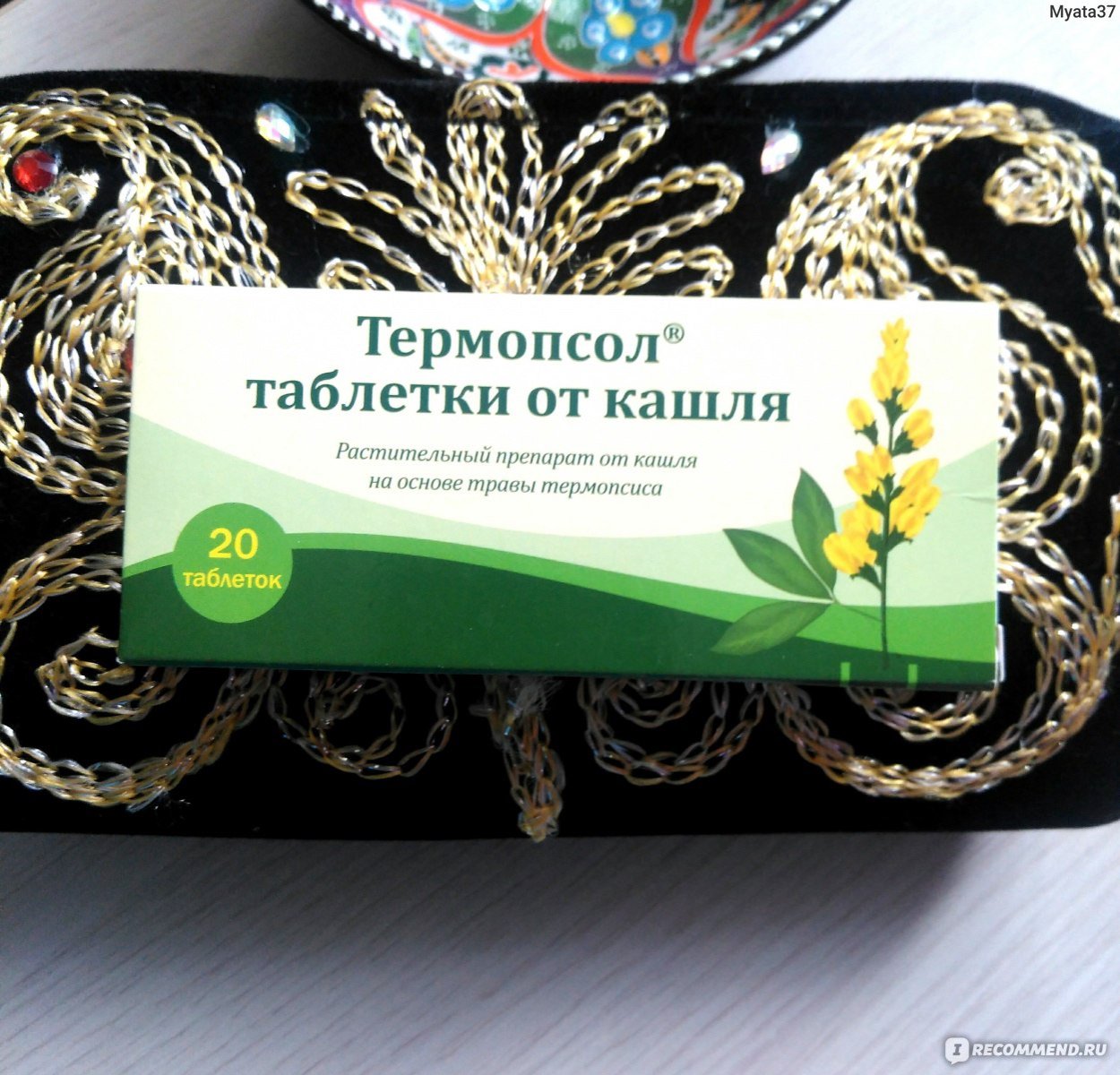 Полевая трава с колосками