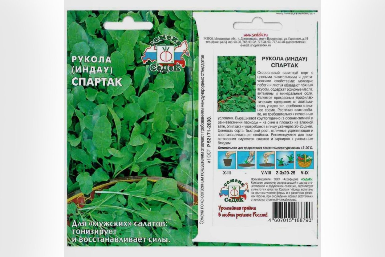 Сельдерей руккола базилик