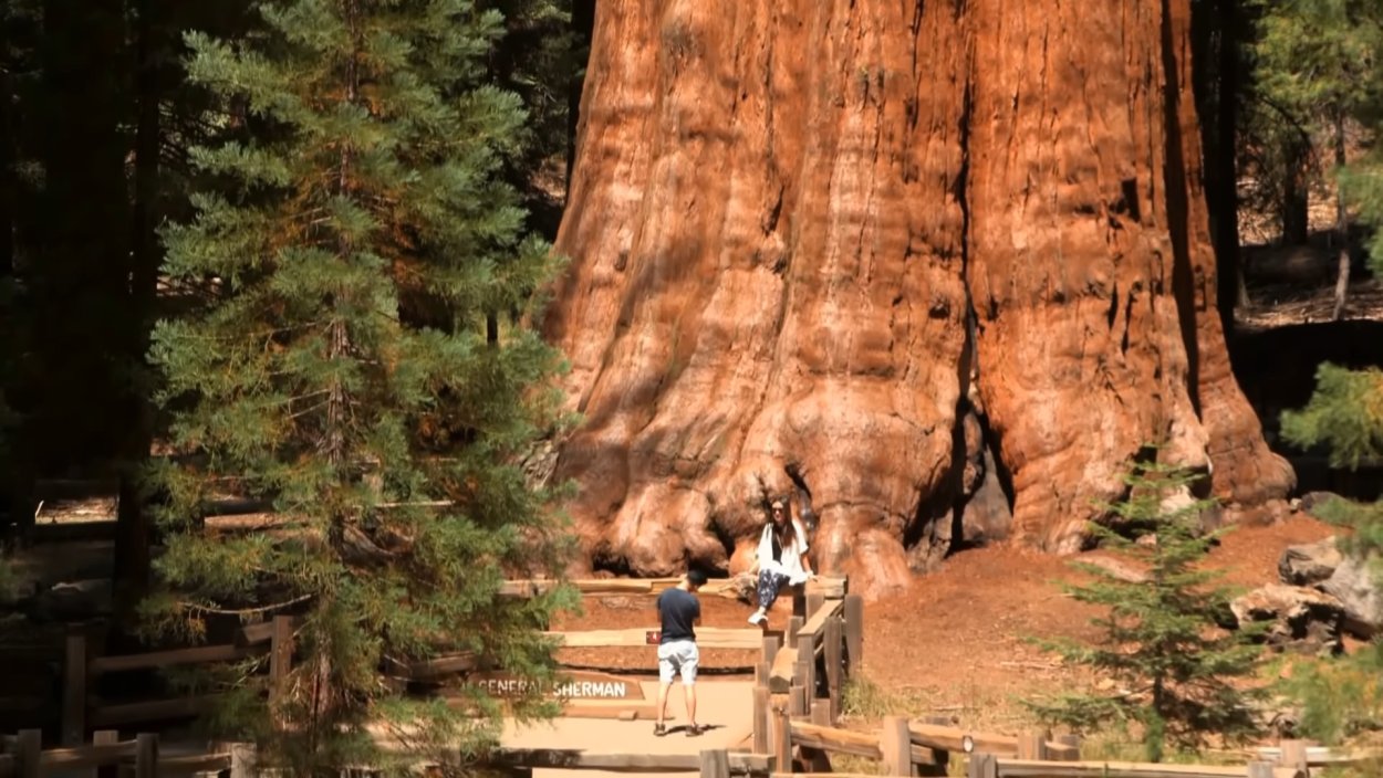 Национальный парк Секвойя генерал Шерман
