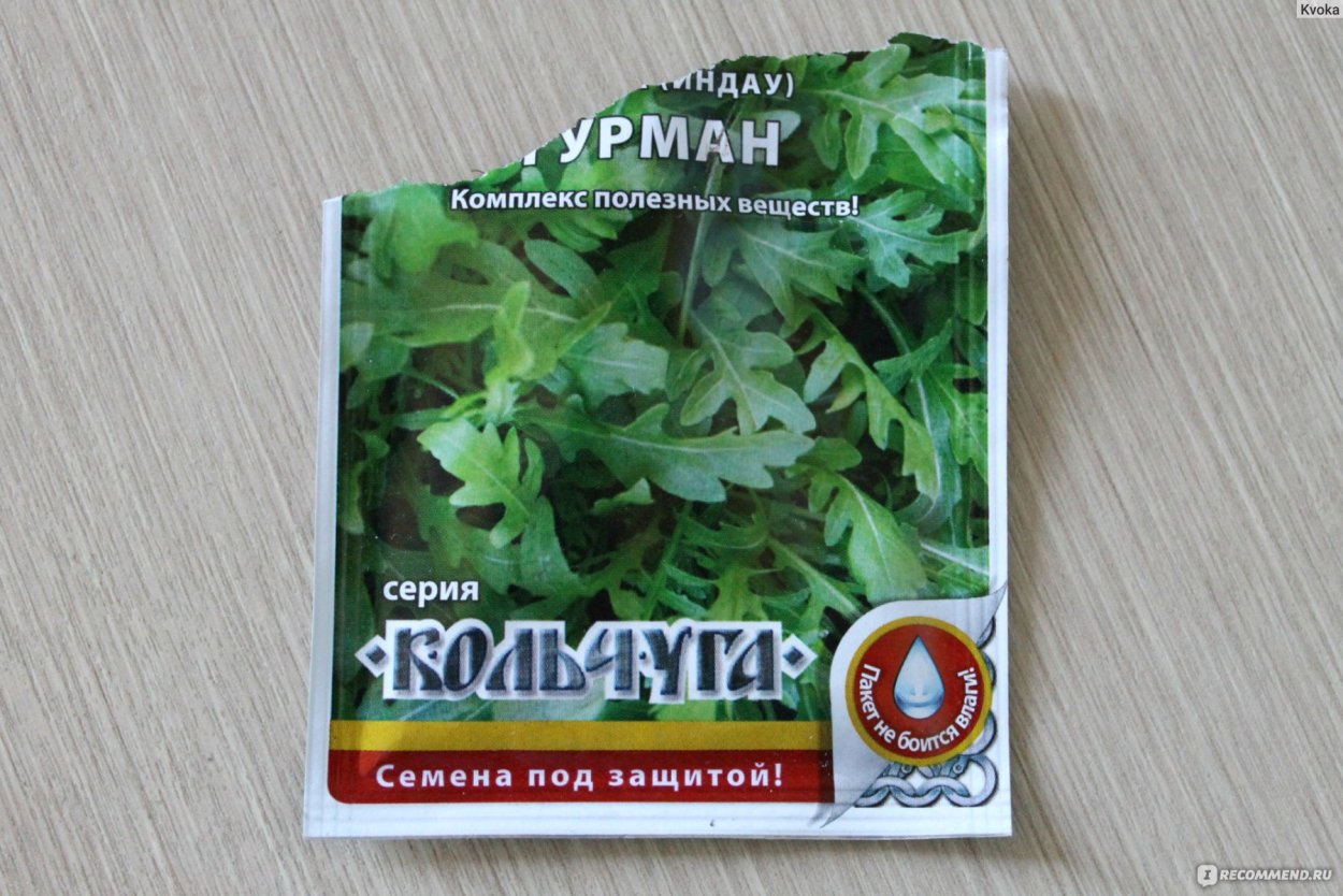 Руккола Спартак