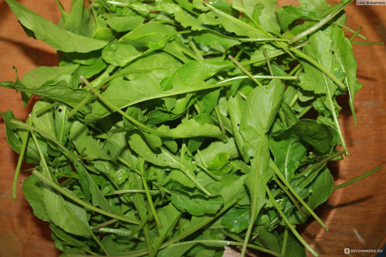 Рукола (Эрука)