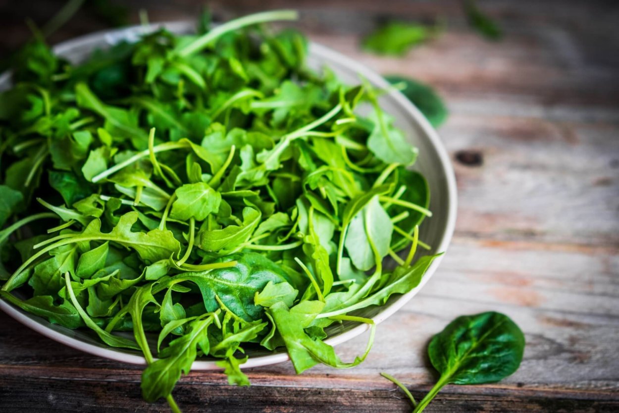 Eruca Sativa руккола