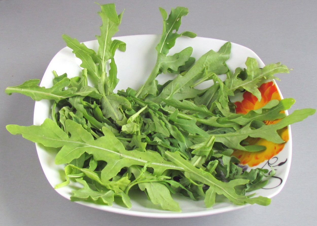 Green Fresh rucola