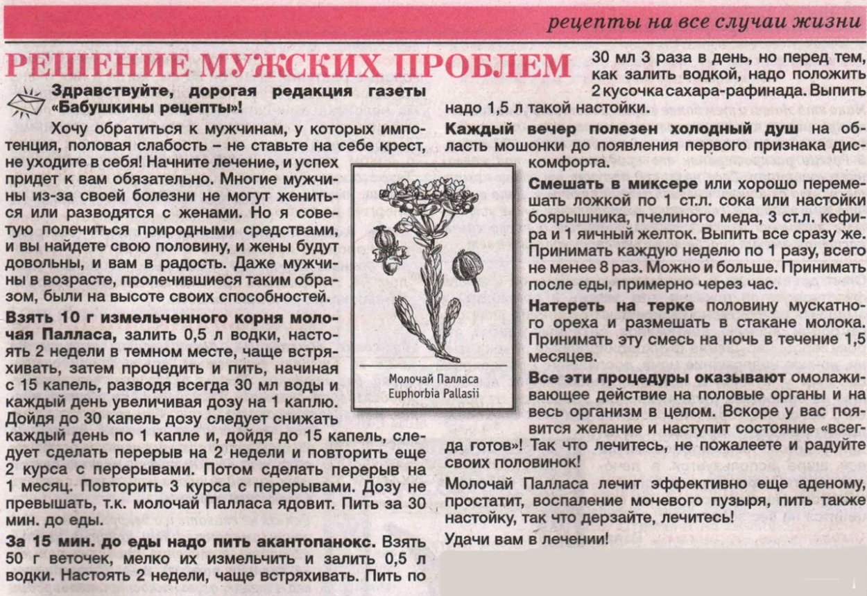 Настойка молочая Палласа