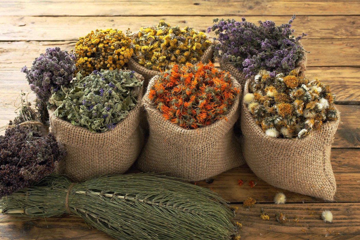 Лекарственные травы