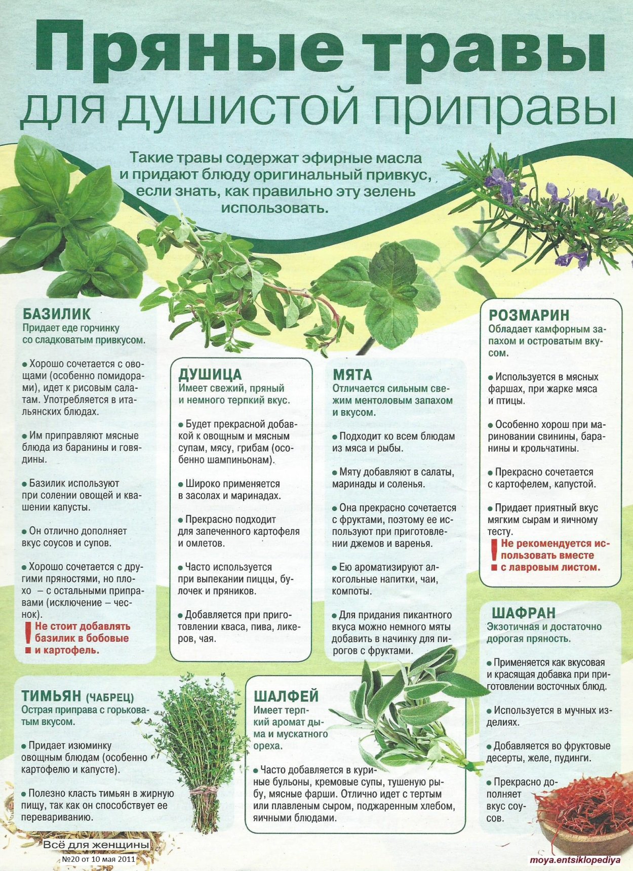 Сбор и сушка лекарственных растений