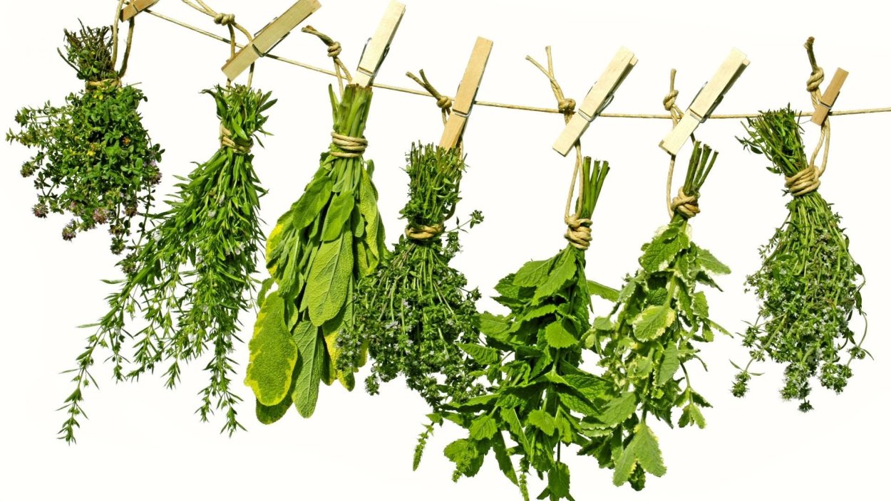 Чай из трав