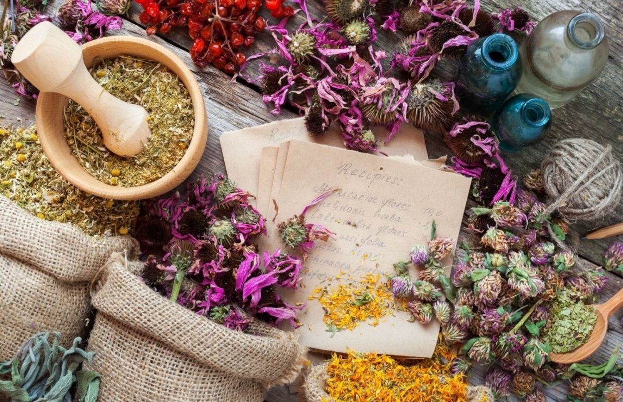 Съедобные дикоросы