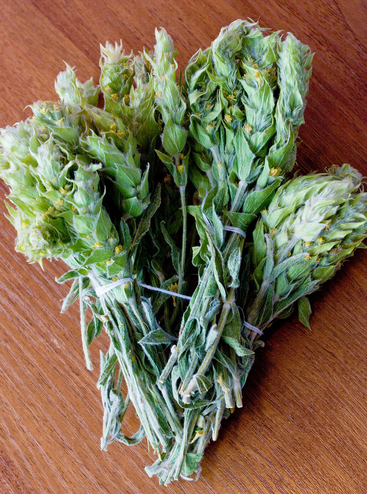 Железница Sideritis