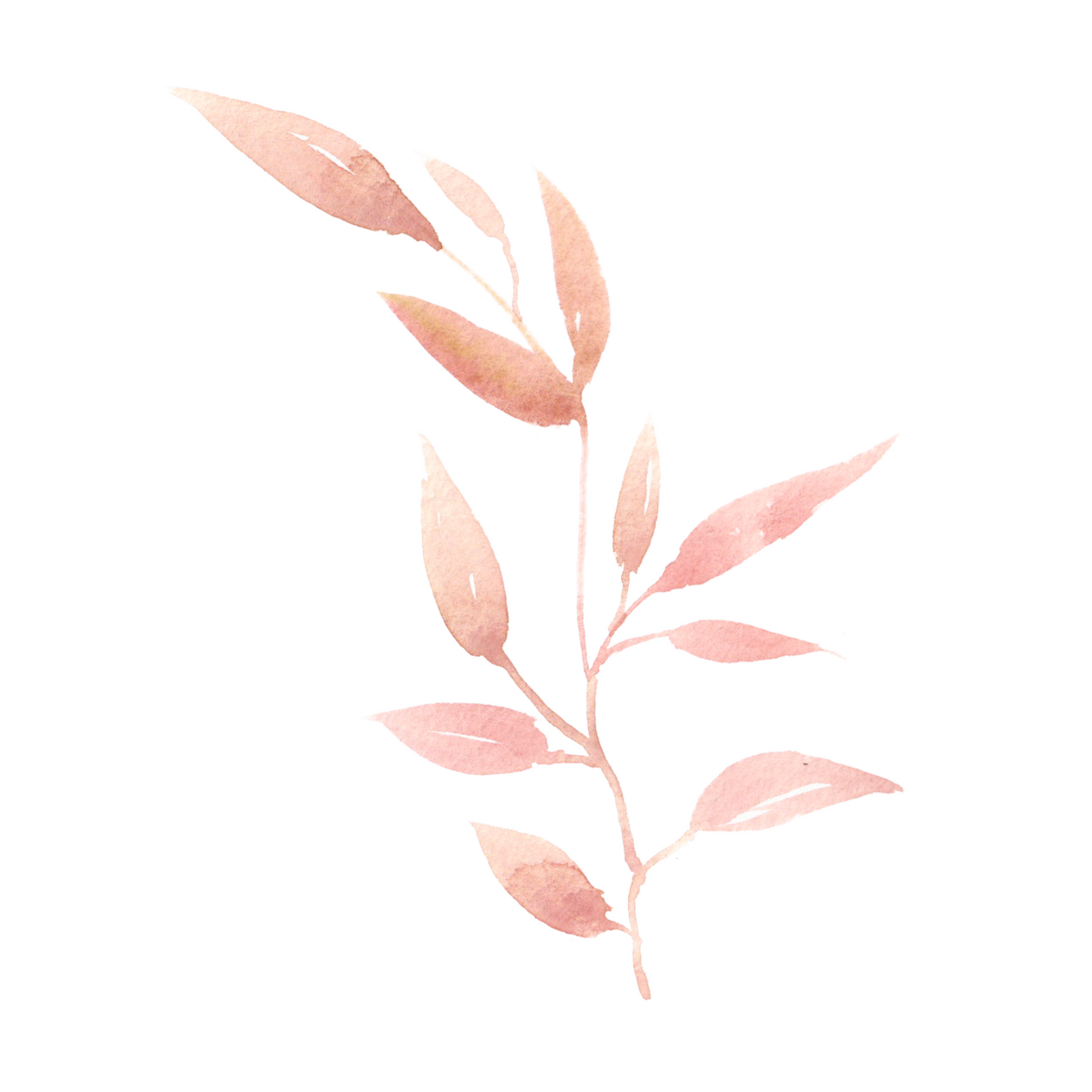 Листья акварель
