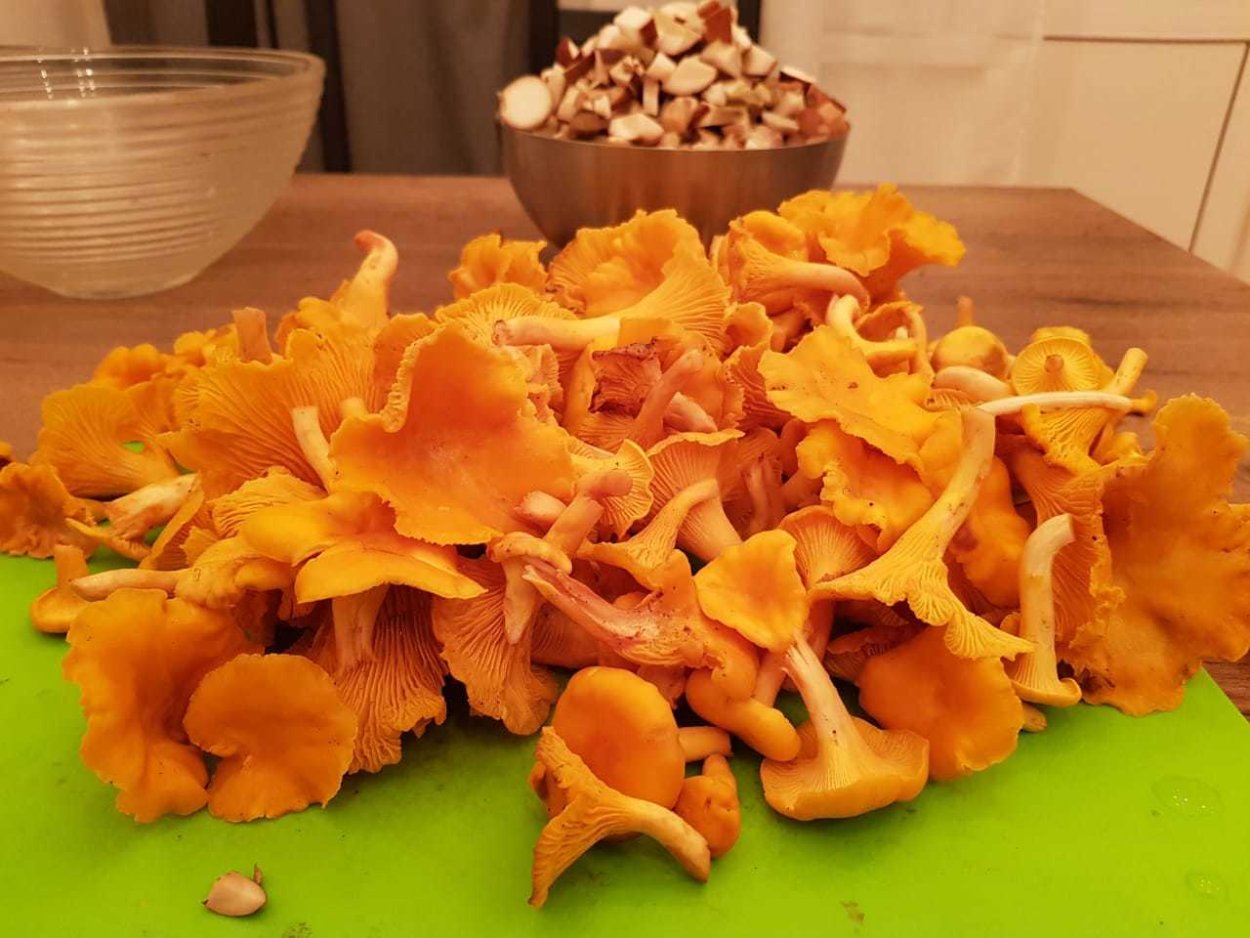 Лисички грибы красиво стол