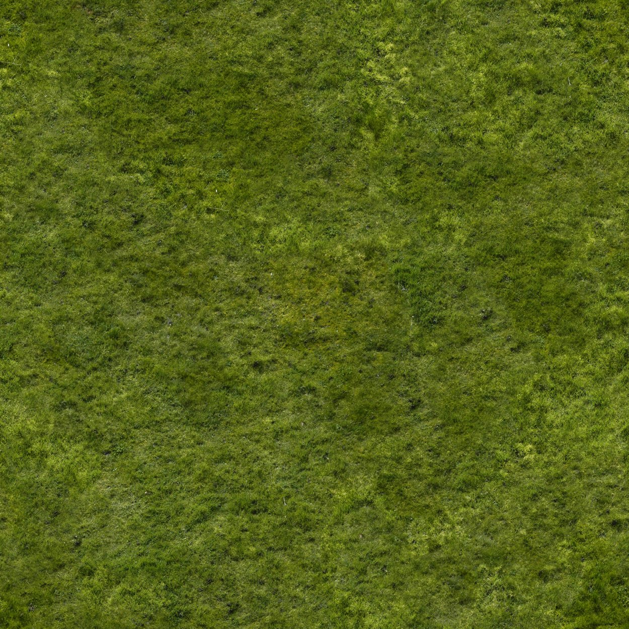 Текстура травы для 3d Max Vray