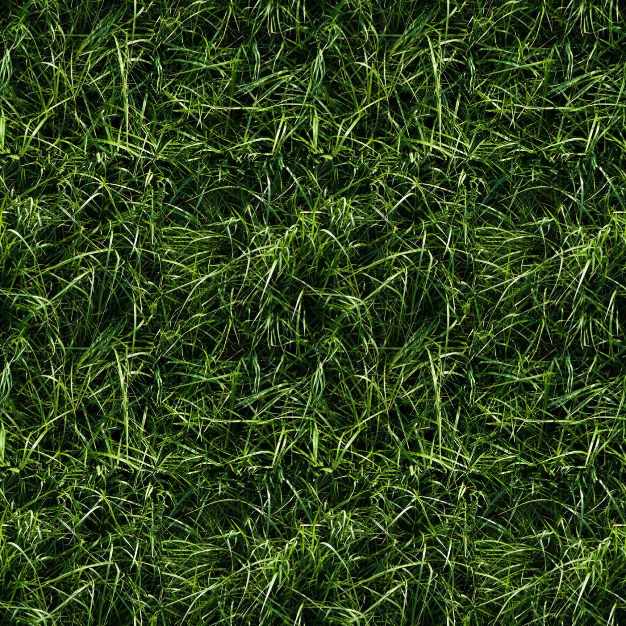 Текстура трава архикад