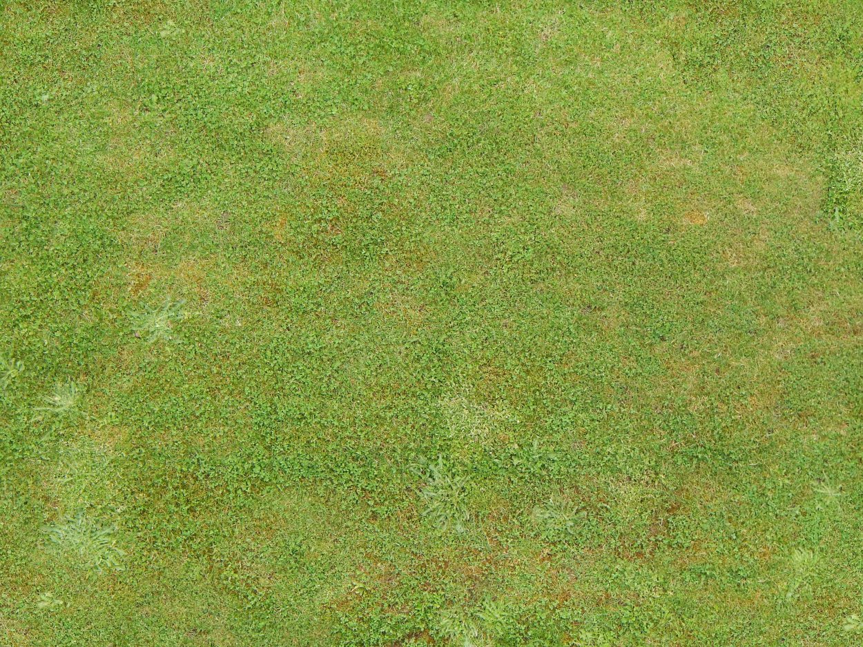 Текстура травы