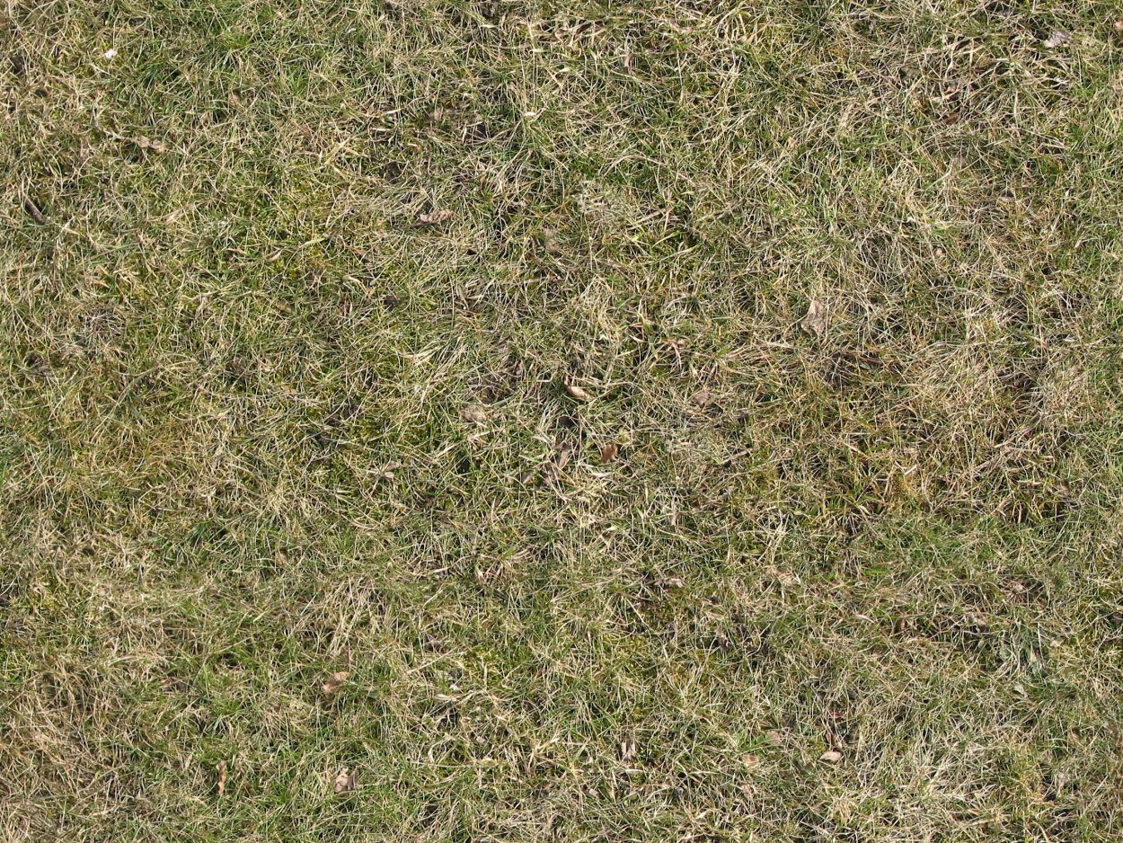 Сухая трава текстура