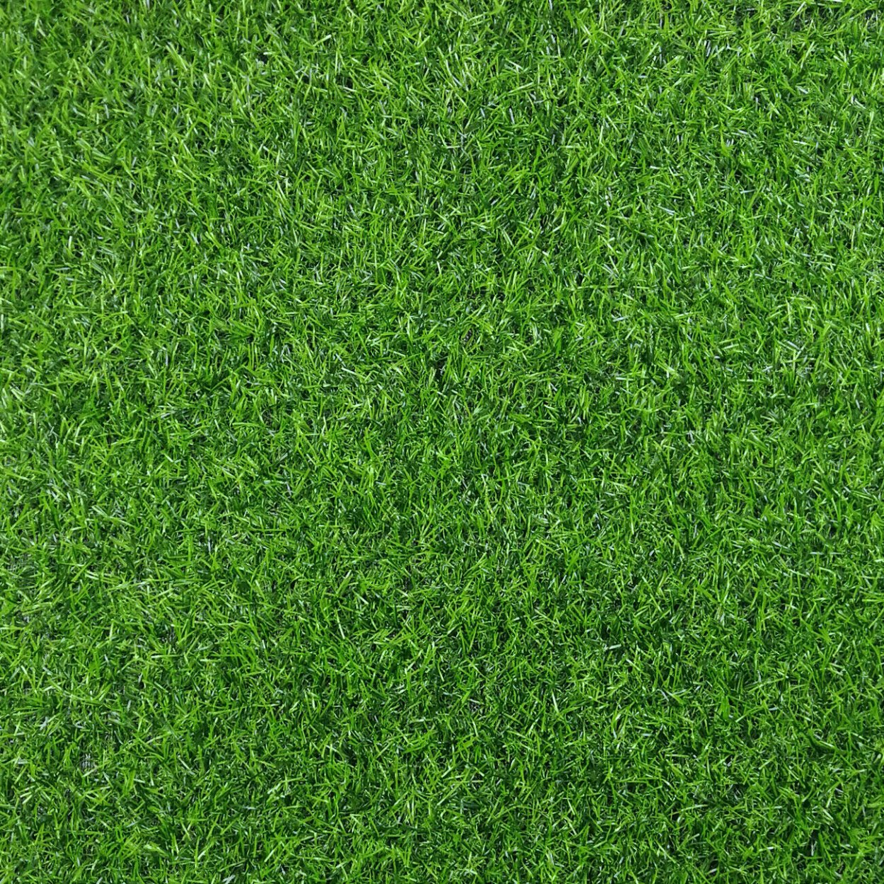 Фактура газон мятлик