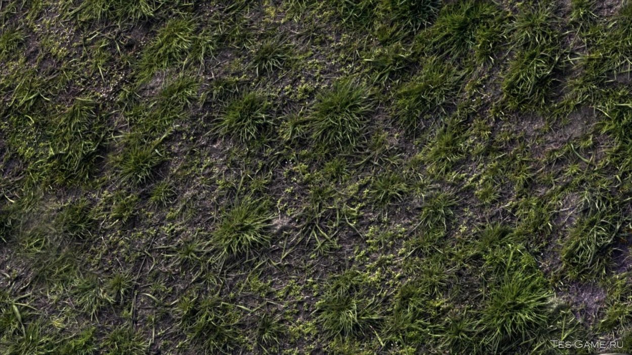 Текстура травы бесшовная